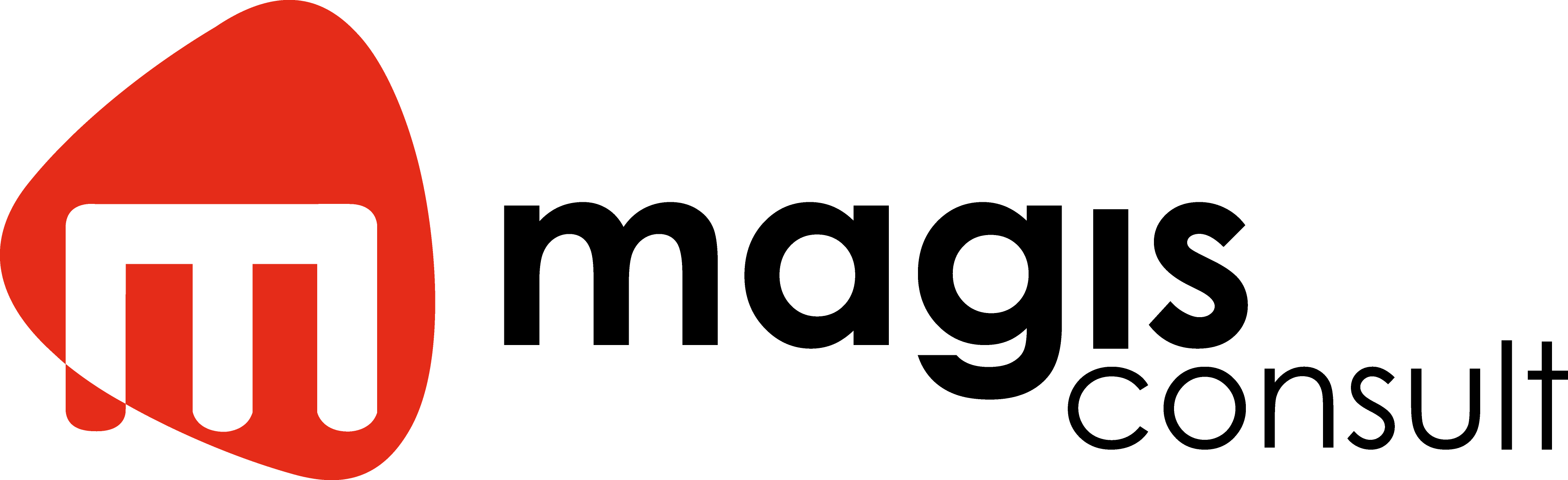Logo magis consult GmbH